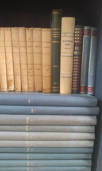 Fondo “Minoletti Bruno”